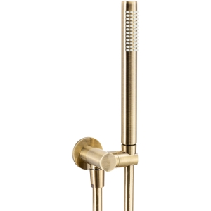 Euphoria Handshower Set in Antique Brass
