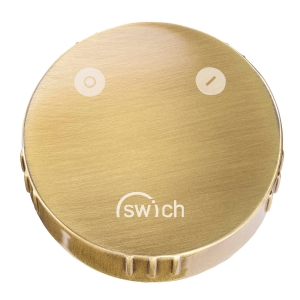 Swich Water Filter with Resin Filter in Brushed Brass